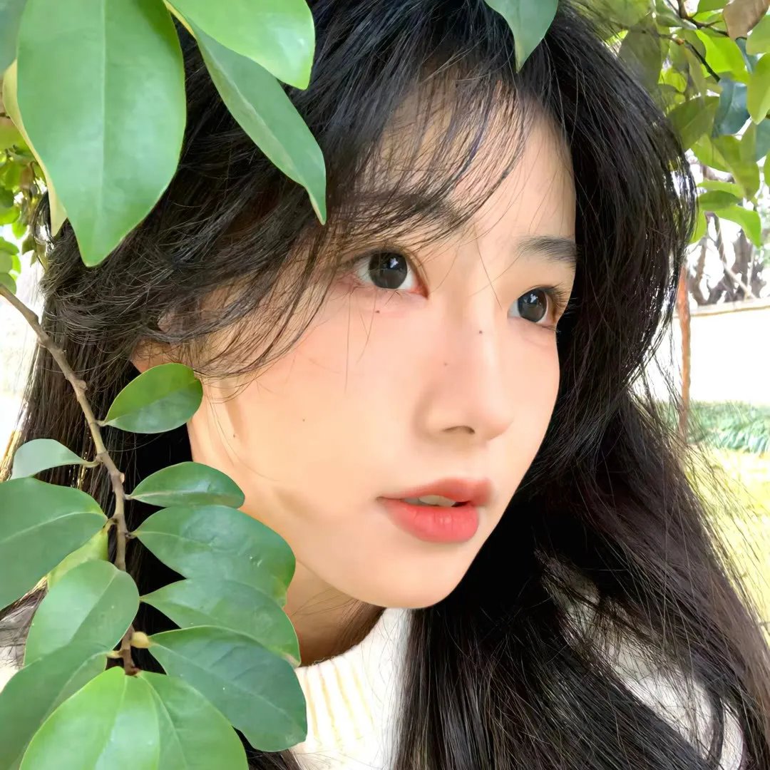 青苔：死亡异域